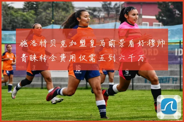 施洛特贝克加盟皇马前景看好穆帅青睐转会费用仅需五到六千万